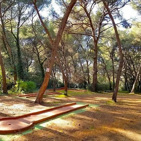 T2 Au Calme Avec Piscine Et Parking * Six-Fours-les-Plages